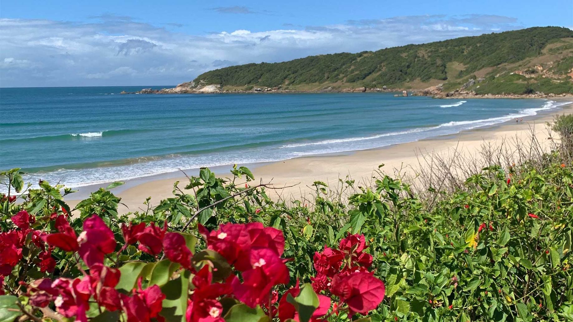 Praia do Rosa — Vista